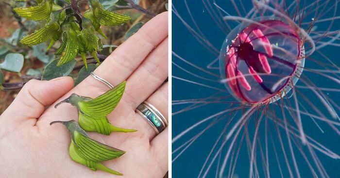 115 Photos And Facts That Showcase Just How Incredible Our World Really Is