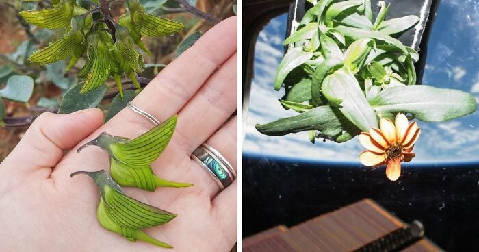 115 Photos And Facts That Showcase Just How Incredible Our World Really Is