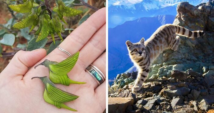 115 Photos And Facts That Showcase Just How Incredible Our World Really Is