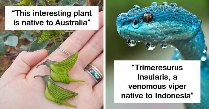 115 Photos And Facts That Showcase Just How Incredible Our World Really Is