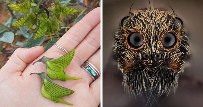 115 Photos And Facts That Showcase Just How Incredible Our World Really Is