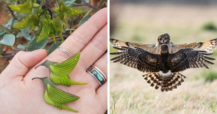 115 Photos And Facts That Showcase Just How Incredible Our World Really Is