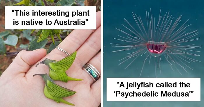 115 Photos And Facts That Showcase Just How Incredible Our World Really Is