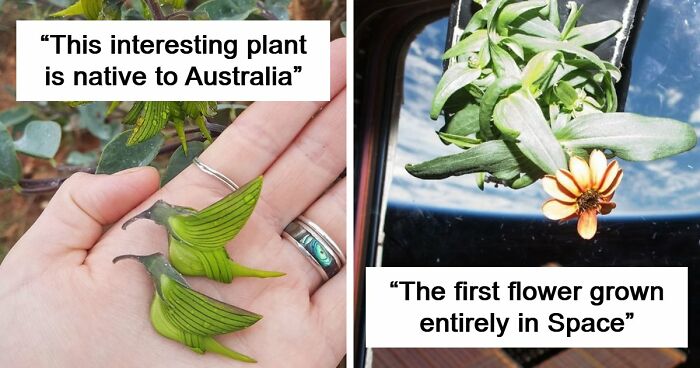 115 Photos And Facts That Showcase Just How Incredible Our World Really Is