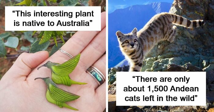 115 Photos And Facts That Showcase Just How Incredible Our World Really Is