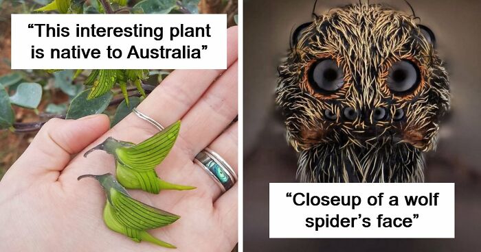 115 Photos And Facts That Showcase Just How Incredible Our World Really Is