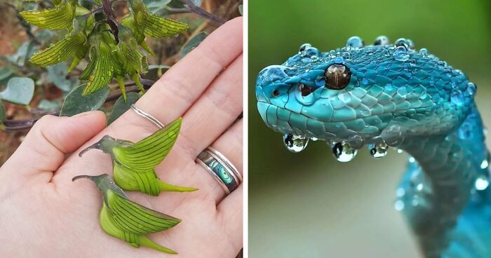115 Photos And Facts That Showcase Just How Incredible Our World Really Is
