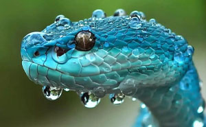 115 Incredible Things In Nature And Science That Feel Almost Unreal