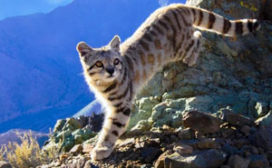 115 Incredible Things In Nature And Science That Feel Almost Unreal