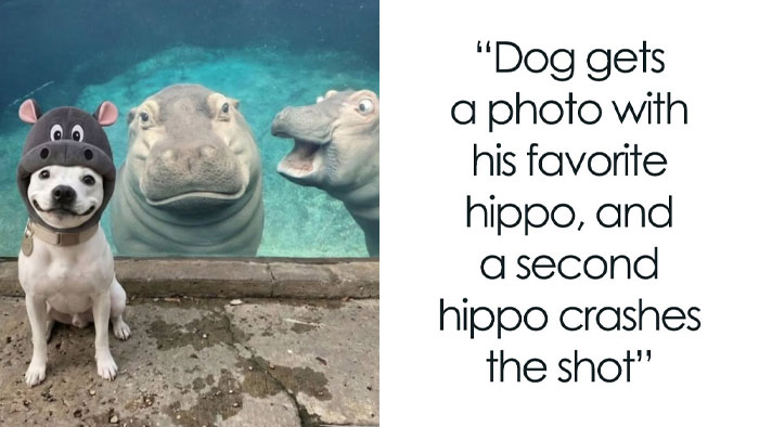 111 Fascinating Facts And Stories You Probably Haven’t Heard Before
