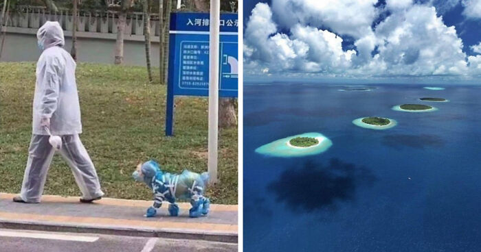 111 Fascinating Facts And Stories You Probably Haven’t Heard Before