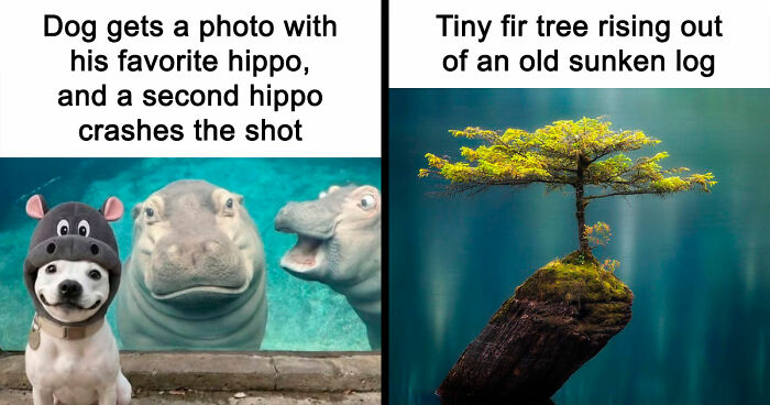 111 Fascinating Facts And Stories You Probably Haven’t Heard Before