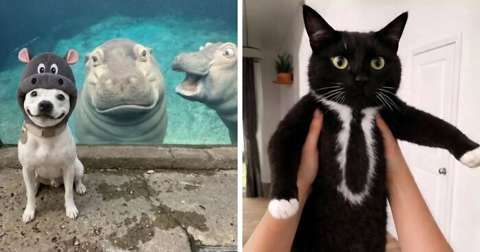 111 Fascinating Facts And Stories You Probably Haven’t Heard Before