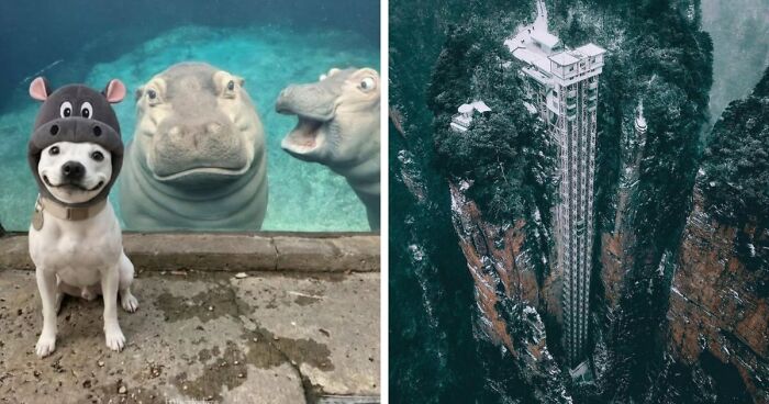 111 Fascinating Facts And Stories You Probably Haven’t Heard Before