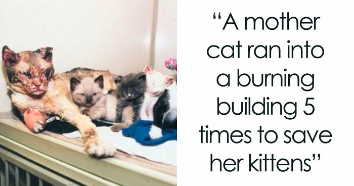 111 Fascinating Facts And Stories You Probably Haven’t Heard Before