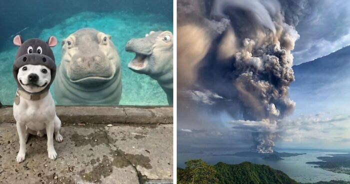 111 Fascinating Facts And Stories You Probably Haven’t Heard Before