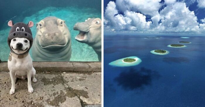 111 Fascinating Facts And Stories You Probably Haven’t Heard Before