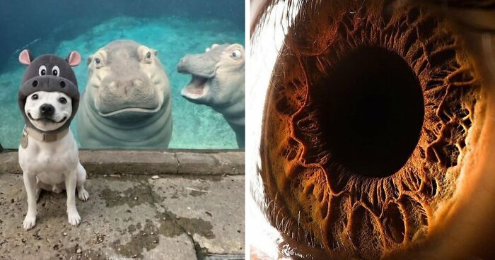 111 Fascinating Facts And Stories You Probably Haven’t Heard Before