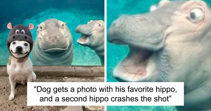 111 Fascinating Facts And Stories You Probably Haven’t Heard Before
