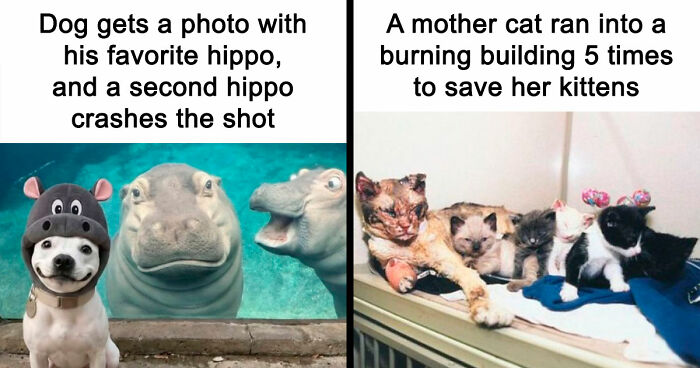 111 Fascinating Facts And Stories You Probably Haven’t Heard Before