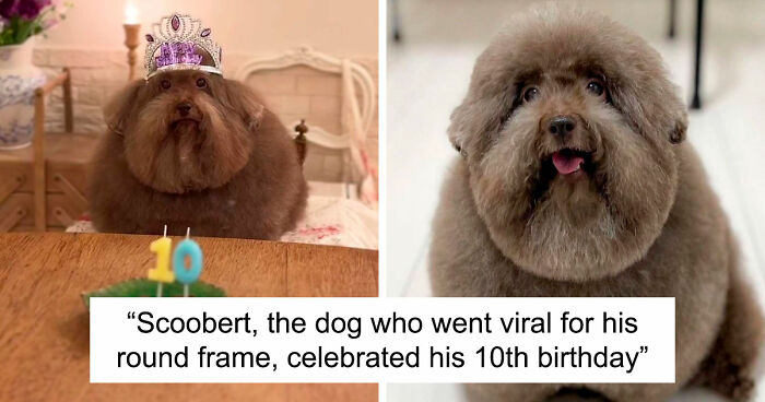 111 Fascinating Facts And Stories You Probably Haven’t Heard Before