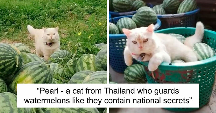 111 Fascinating Facts And Stories You Probably Haven’t Heard Before
