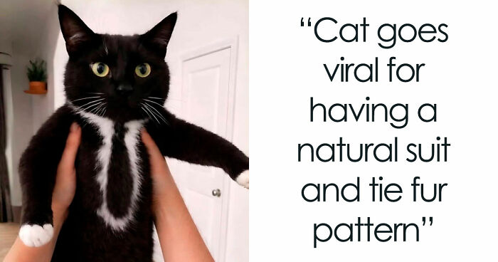111 Fascinating Facts And Stories You Probably Haven’t Heard Before