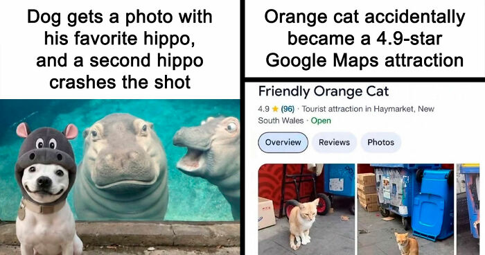 111 Fascinating Facts And Stories You Probably Haven’t Heard Before