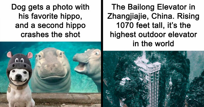 111 Fascinating Facts And Stories You Probably Haven’t Heard Before