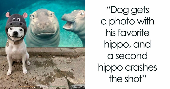 111 Fascinating Facts And Stories You Probably Haven’t Heard Before