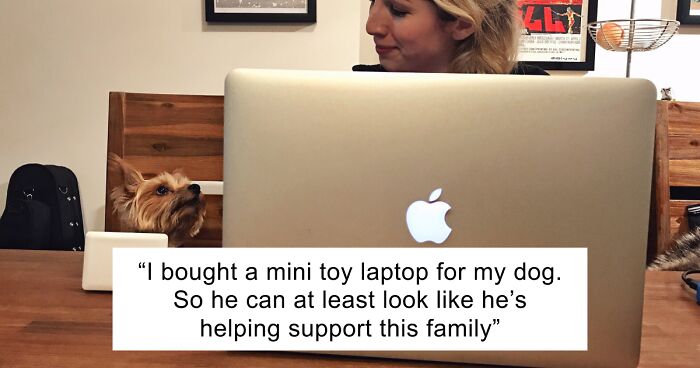 56 Dog Photos That Prove These Weirdos Make Life Better