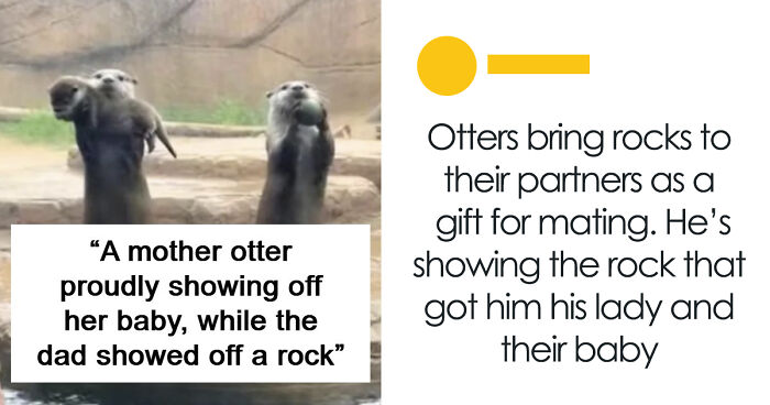 41 Interesting Facts That Are Perfect For People Who Love Learning New Things