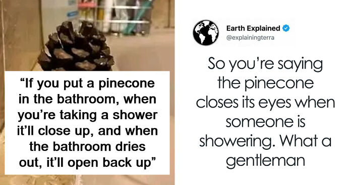 41 Interesting Facts That Are Perfect For People Who Love Learning New Things