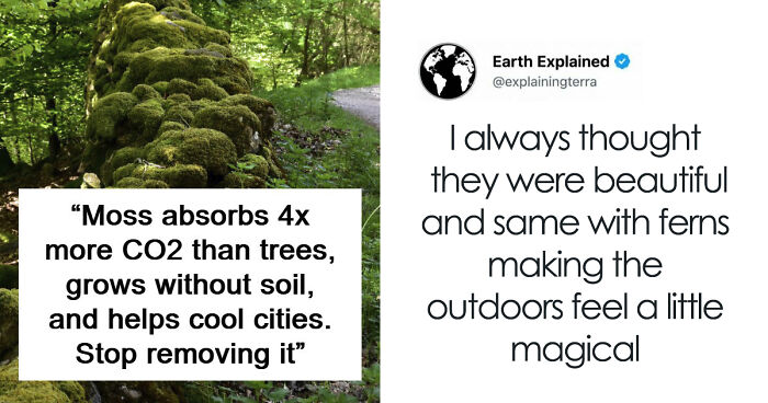 41 Interesting Facts That Are Perfect For People Who Love Learning New Things