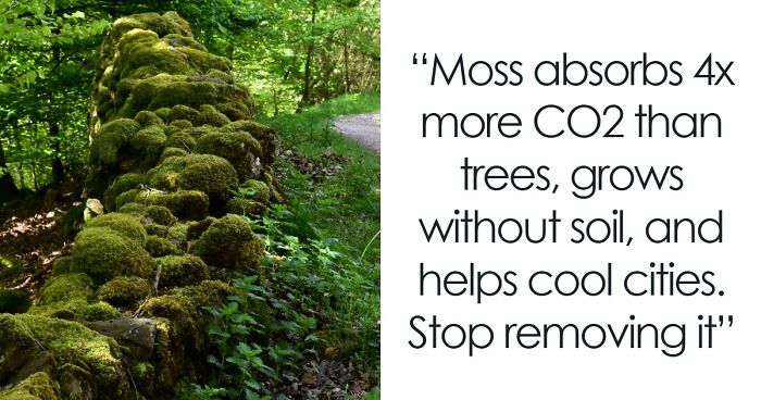41 Interesting Facts That Are Perfect For People Who Love Learning New Things