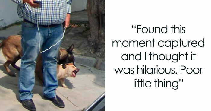 “I Will Be Immortalized On Google Street View Forever”: 81 Bizarre And Funny Google Street View Photos