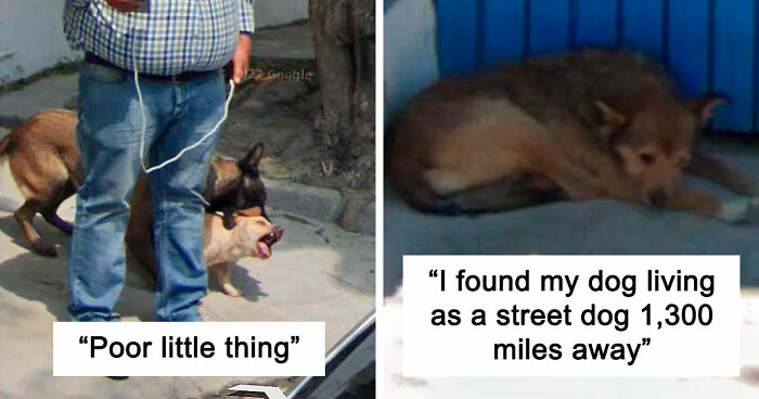 “I Will Be Immortalized On Google Street View Forever”: 81 Bizarre And Funny Google Street View Photos