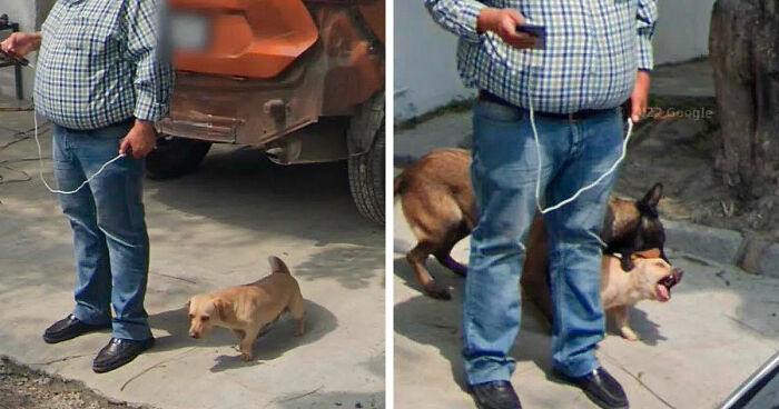 “I Will Be Immortalized On Google Street View Forever”: 81 Bizarre And Funny Google Street View Photos
