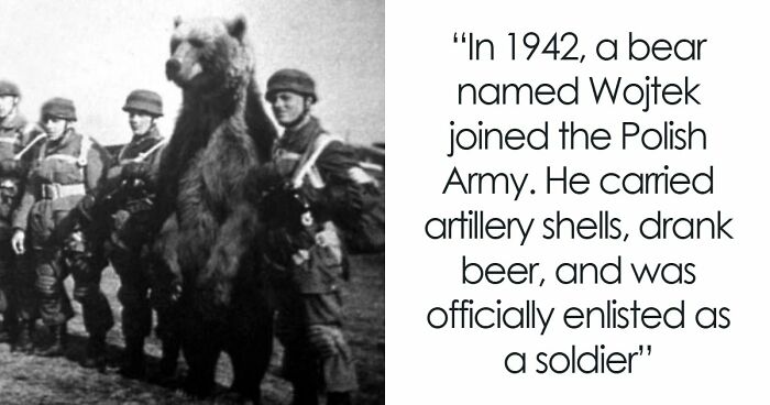 71 Posts About History You Probably Have Never Seen Before: “Explaining All Wars”