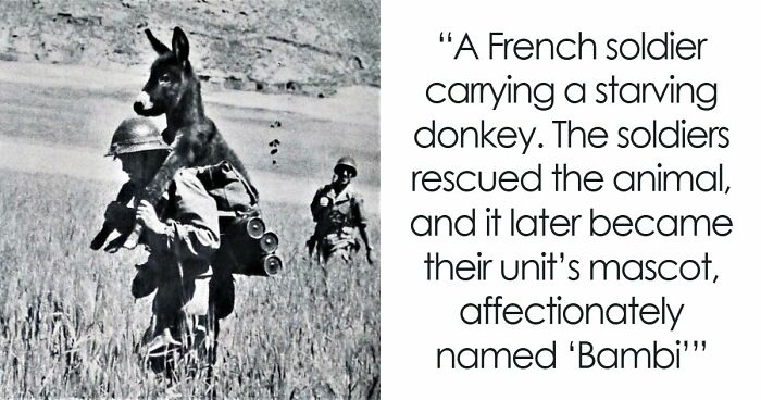 71 Posts About History You Probably Have Never Seen Before: “Explaining All Wars”