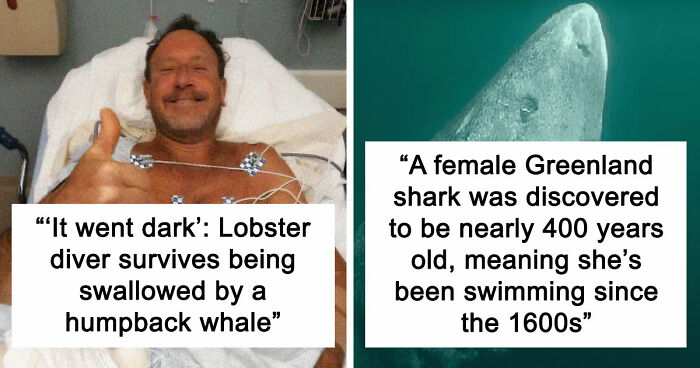 “He Was Inside The Mouth Of A Humpback Whale”: 79 Strange And Fascinating Facts About The Deep Dark Ocean (New Pics)