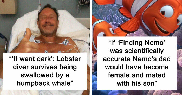 “He Was Inside The Mouth Of A Humpback Whale”: 79 Strange And Fascinating Facts About The Deep Dark Ocean (New Pics)
