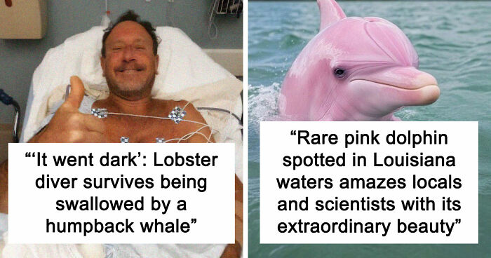 “He Was Inside The Mouth Of A Humpback Whale”: 79 Strange And Fascinating Facts About The Deep Dark Ocean (New Pics)