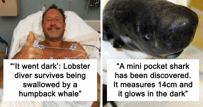 “He Was Inside The Mouth Of A Humpback Whale”: 79 Strange And Fascinating Facts About The Deep Dark Ocean (New Pics)