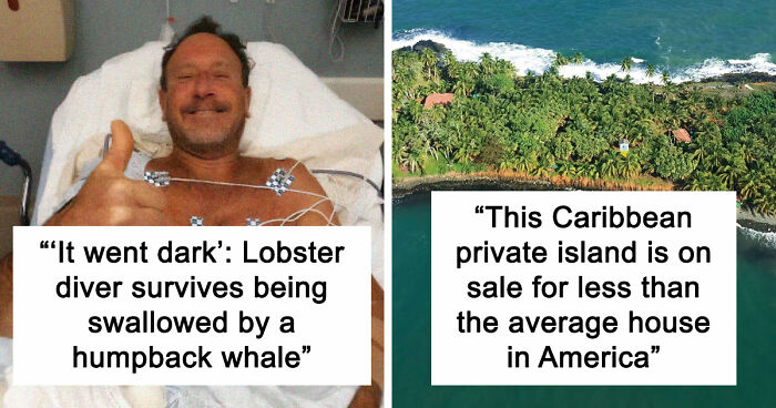 “He Was Inside The Mouth Of A Humpback Whale”: 79 Strange And Fascinating Facts About The Deep Dark Ocean (New Pics)