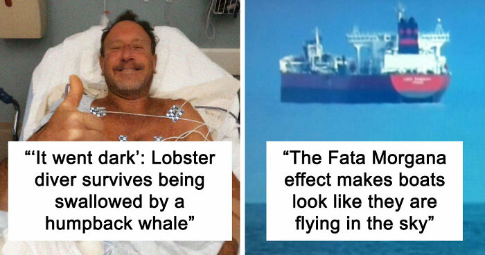 “He Was Inside The Mouth Of A Humpback Whale”: 79 Strange And Fascinating Facts About The Deep Dark Ocean (New Pics)