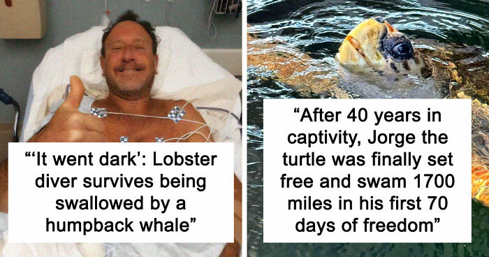 “He Was Inside The Mouth Of A Humpback Whale”: 79 Strange And Fascinating Facts About The Deep Dark Ocean (New Pics)