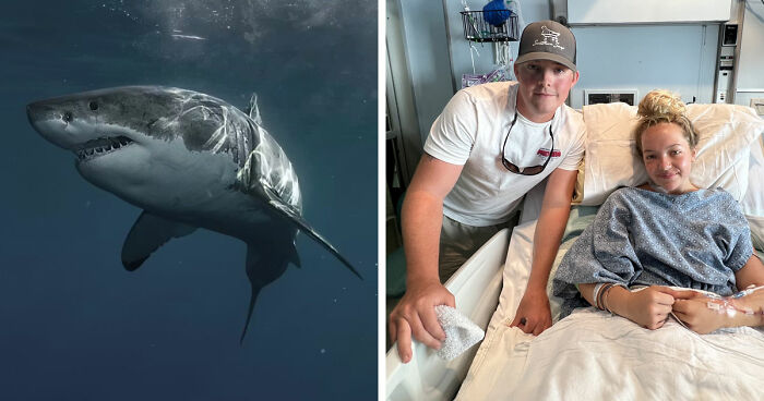 “He Was Inside The Mouth Of A Humpback Whale”: 79 Strange And Fascinating Facts About The Deep Dark Ocean (New Pics)