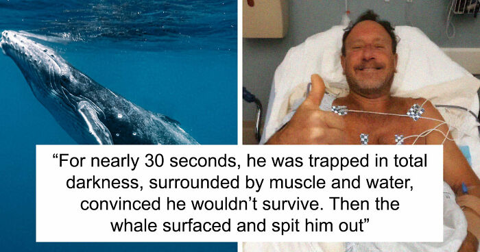 “He Was Inside The Mouth Of A Humpback Whale”: 79 Strange And Fascinating Facts About The Deep Dark Ocean (New Pics)