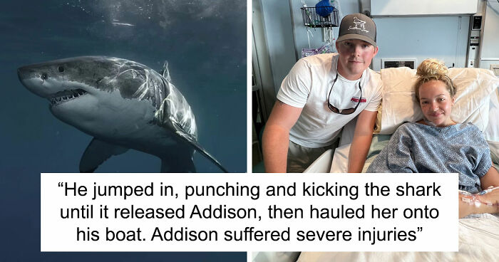 “He Was Inside The Mouth Of A Humpback Whale”: 79 Strange And Fascinating Facts About The Deep Dark Ocean (New Pics)